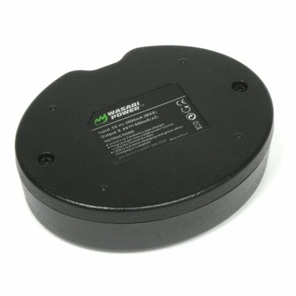 Batt fz100 c